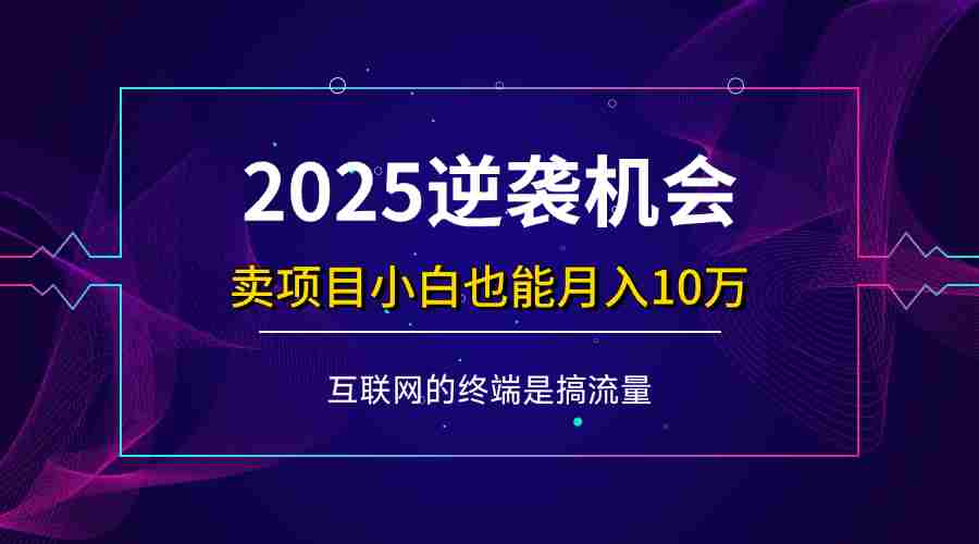 (14122期)项目标题:2025逆袭机会,卖项目小白也能轻松月入10万+