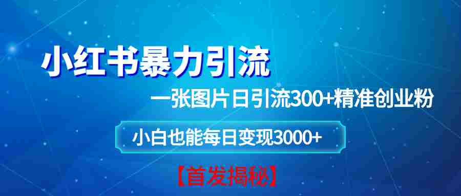 (13935期)小红书暴力引流法,一张图片日引 300+精准创业粉,每日稳定变现 3000+【揭秘】