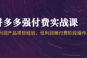 (14874期)拼多多强付费实战课-44期,高利润产品项目经验,低利润微付费阶段操作