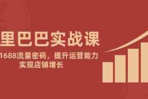 (14830期)阿里巴巴实战课:掌握1688流量密码,提升运营能力,实现店铺增长