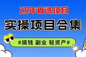 （14767期）2025实操项目合集 挂机类型 直播类型 轻资产创业类型 课程分享各项目介…