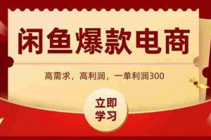 (14746期)闲鱼卖爆款数码产品,当天上架即可出单,一天利润1000