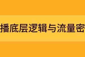 （14695期）直播底层逻辑与流量密码：定位模型+案例拆解，急速流承接与数据优化全攻略
