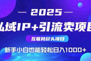 （14613期）私域IP+卖项目，普通人小白也能轻松实现日入1000+