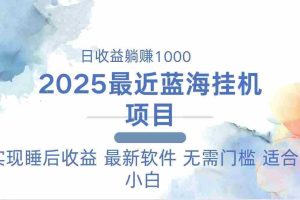 （14488期）2025最新挂机躺赚项目 一台电脑轻松日入500