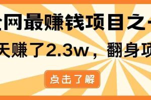 （14481期）暴利项目，每天被动收益1500+，长期管道收益！0成本自己做老板！