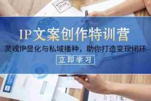 （14330期）IP文案创作特训营，灵魂IP显化与私域播种，助你打造变现闭环（14节课）
