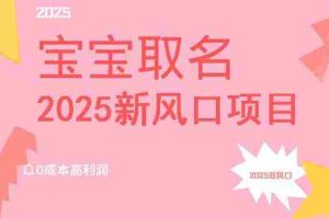 （14593期）2025新风口项目宝宝取名，0成本高利润，附保姆级教程，月入过万不是梦
