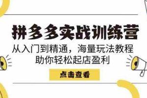 （14392期）拼多多实战训练营，从入门到精通，海量玩法教程，助你轻松起店盈利
