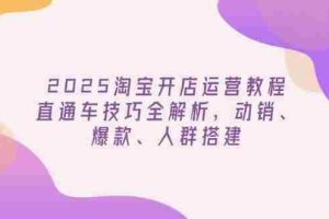 （14389期）2025淘宝开店运营教程更新，直通车技巧全解析，动销、爆款、人群搭建