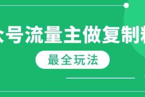（14333期）最新完整Ai流量主爆文玩法，每天只要5分钟做复制粘贴，每月轻松10000+