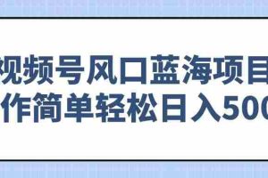 （14276期）视频号风口蓝海项目，操作简单轻松日入500+