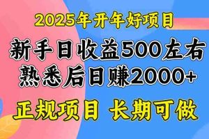 （14076期）2025开年好项目，单号日收益2000左右