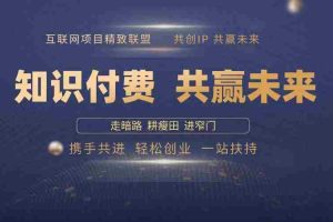 （13944期）2025年 如何通过 “知识付费” 卖项目月入十万、年入百万，布局2025与…