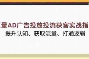 （13872期）巨量AD广告投放投流获客实战指南，提升认知、获取流量、打通逻辑