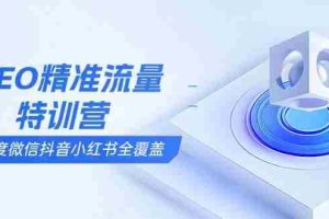 （13851期）SEO精准流量特训营，百度微信抖音小红书全覆盖，带你搞懂搜索优化核心技巧