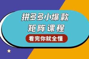 （13699期）拼多多爆款矩阵课程：教你测出店铺爆款，优化销量，提升GMV，打造爆款群