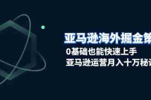 （13644期）亚马逊海外掘金策略，0基础也能快速上手，亚马逊运营月入十万秘诀