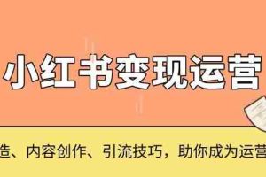 （13609期）小红书变现运营，IP打造、内容创作、引流技巧，助你成为运营高手
