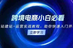 （13503期）跨境电商小白必看！独立站建站+运营实战教程，助你快速入门并精通
