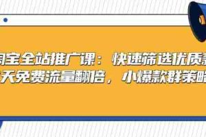 （13184期）淘宝全站推广课：快速筛选优质款，7天免费流量翻倍，小爆款群策略