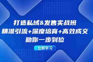 （12642期）打造私域&发售实操班：精准引流+深度培育+高效成交，助你一步到位