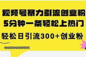 （11754期）视频号暴力引流创业粉，5分钟一条轻松上热门，轻松日引流300+创业粉