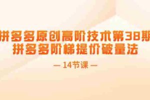 (11704期)拼多多原创高阶技术第38期,拼多多阶梯提价破量法(14节课)