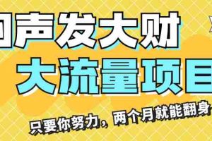 (11688期)闷声发大财,大流量项目,月收益过3万,只要你努力,两个月就能翻身