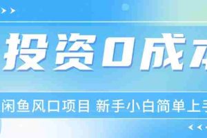 （11614期）最新风口项目闲鱼空调3.0玩法，月入过万，真正的0成本0投资项目