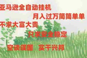 （11124期）亚马逊全自动浏览挂机