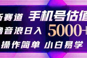 （10154期）抖音不出境直播【手机号估值】最新撸音浪，日入5000+，简单易学，适合…