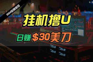 （10013期）日赚30美刀，2024最新海外挂机撸U内部项目，全程无人值守，可批量放大
