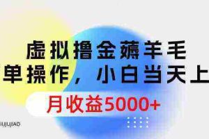 （9864期）虚拟撸金薅羊毛，简单操作，小白当天上手，月收益5000+