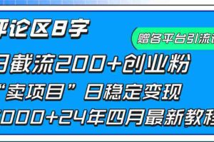 （9851期）评论区8字日载流200+创业粉  日稳定变现5000+24年四月最新教程！