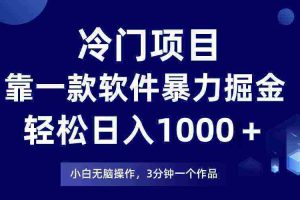 （9791期）冷门项目，靠一款软件暴力掘金日入1000＋，小白轻松上手第二天见收益