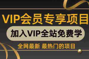 （9651期） 2024视频号最新撸收益技术，爆火赛道起号玩法，收益稳定，单日1000+