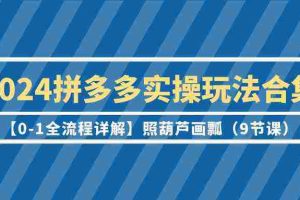 （9559期）2024拼多多实操玩法合集【0-1全流程详解】照葫芦画瓢（9节课）
