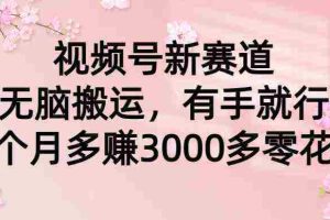 （9277期）视频号新赛道，无脑搬运，有手就行，每个月多赚3000多零花钱