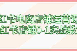 （9249期）小红书电商店铺运营课程，小红书店铺0-1实战教学（60节课）
