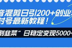 （8349期）抖音混剪日引200+创业粉不封号最新教程！“割韭菜”日稳定变现5000+！