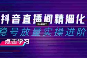 （8258期）2024抖音直播间精细化运营：稳号放量实操进阶 选品/排品/起号/小店随心…