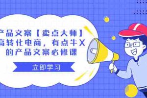（8244期）产品文案【卖点 大师】高转化电商，有点牛X的 产品文案必修课