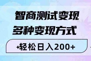 （8049期）智商测试变现，轻松日入200+，几分钟一个视频，多种变现方式（附780G素材）