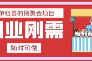 （7710期）最简单粗暴的撸美金项目 会打字就能轻松赚美金