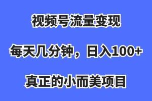 （7212期）视频号流量变现，每天几分钟，收入100+，真正的小而美项目