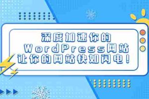 （6502期）深度加速你的WordPress网站，让你的网站快如闪电！