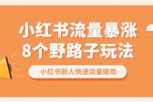 （6476期）小红书流量-暴涨8个野路子玩法：小红书新人快速流量破局（8节课）