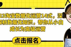 （6475期）2023淘宝数据化-运营 14式，深度解析数据化知识，帮你从小白成长为高级运营