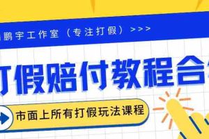 （6425期）2023年全套打假合集，集合市面所有正规打假玩法（非正规打假的没有）